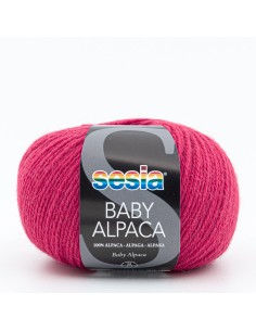 Baby Alpaca