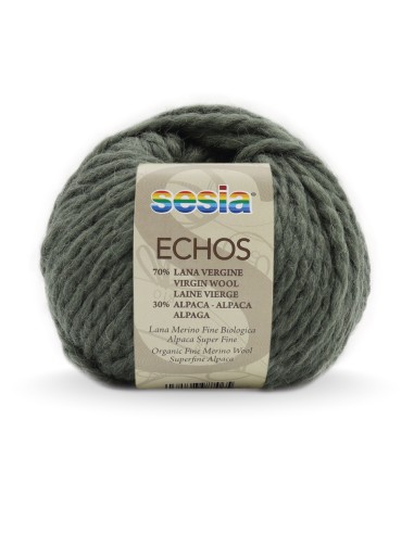 Echos