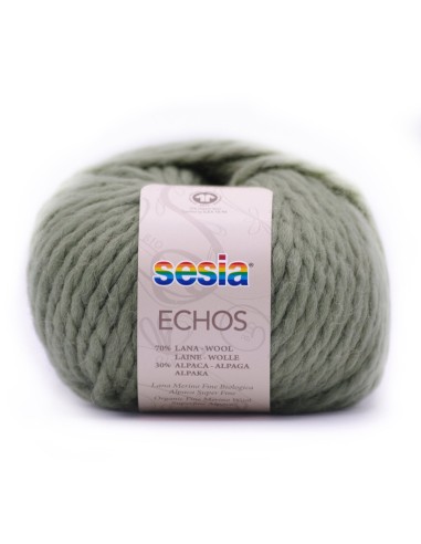 Echos